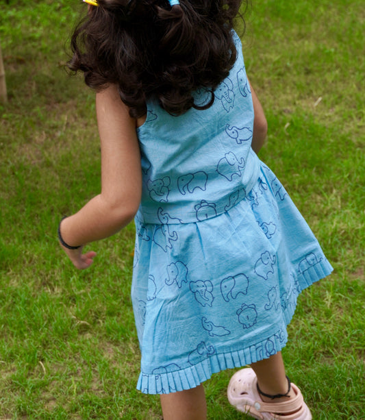 Elephant Waistcoat & Skirt Set