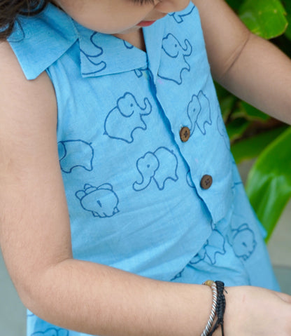 Elephant Waistcoat & Skirt Set